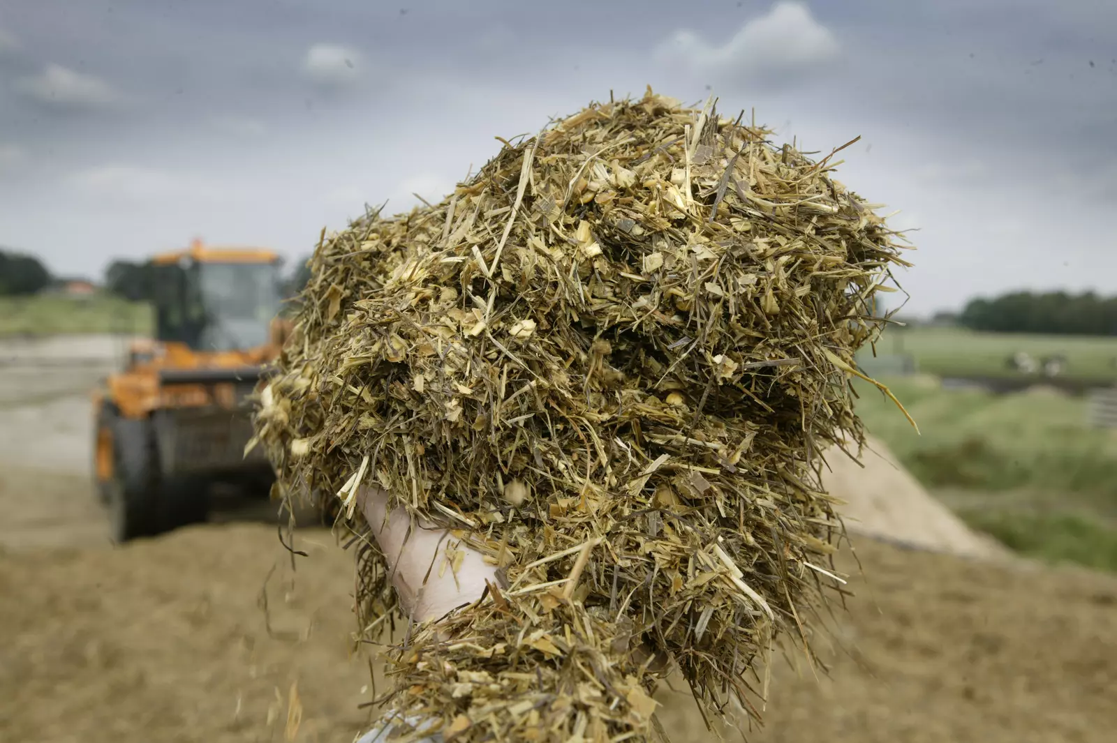 Vitalic Silage Fast Maise