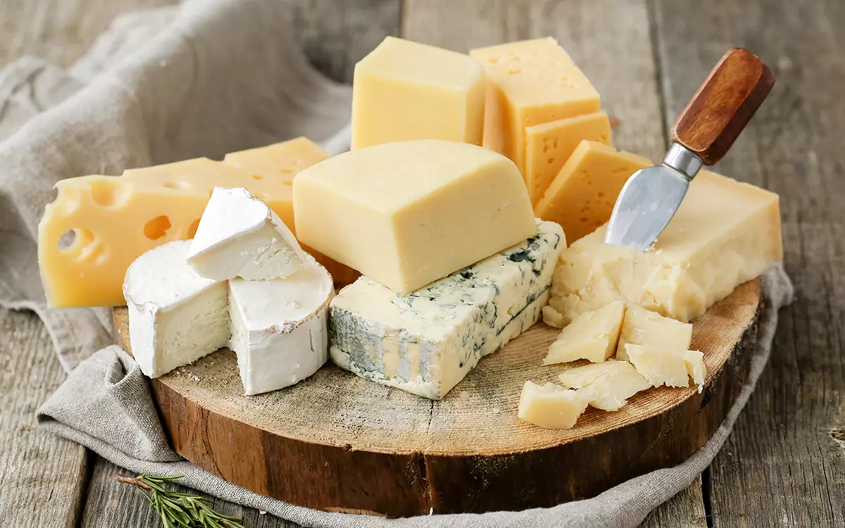 Cheese Machinery and Equipment