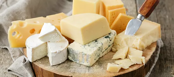 Cheese Machinery and Equipment