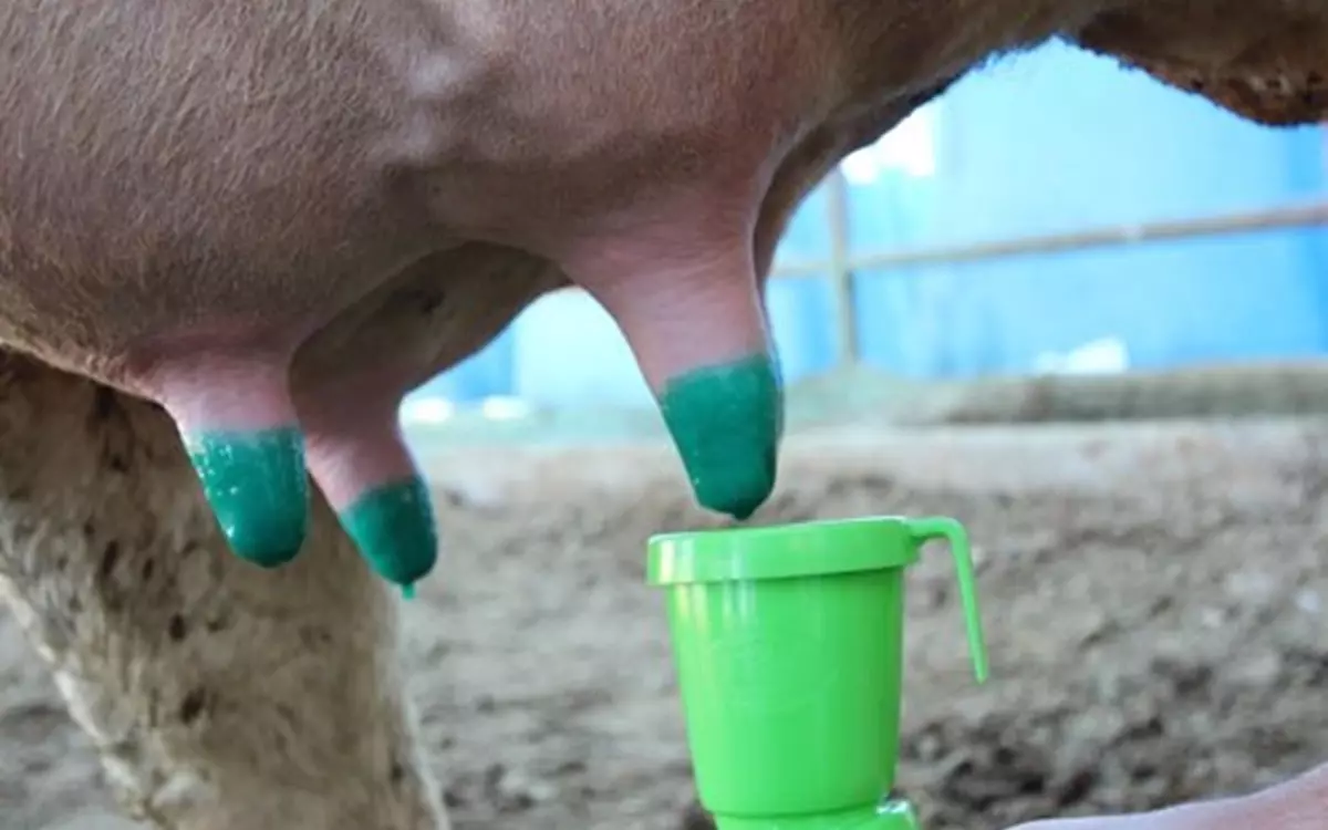 Vitalic Teat Dip Disinfectants