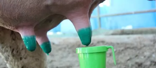 Vitalic Teat Dip Disinfectants