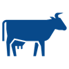 Cattle Dairy and Fattening Cattle