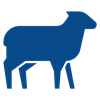Small Animals