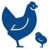 Animals with wings