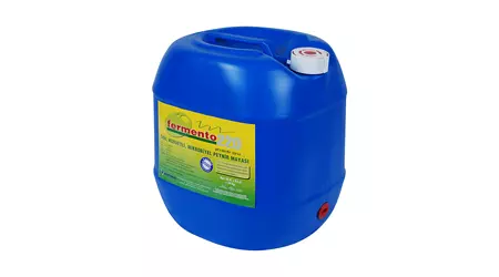 Fermento