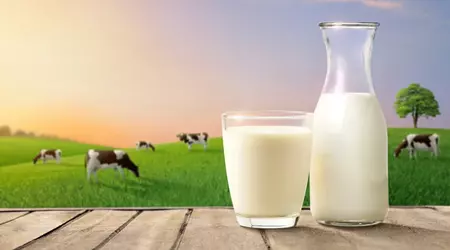Pasteurized Milk Production Line