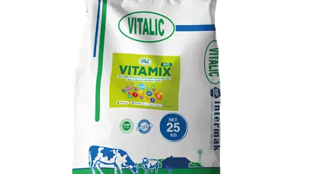 Vitalic Vitamix Bio