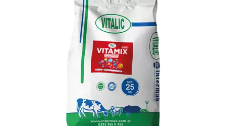 Vitalic Vitamix Base