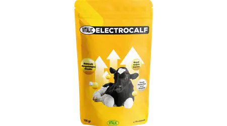 Vitalic Electrocalf
