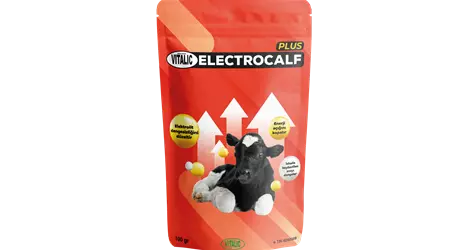 Vitalic Electrocalf Plus