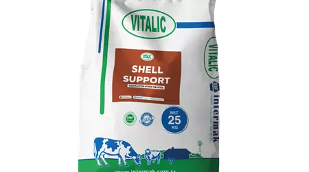 Vitalic Shell Support