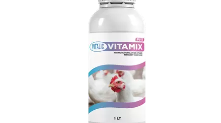 Vitalic Vitamix Pvit