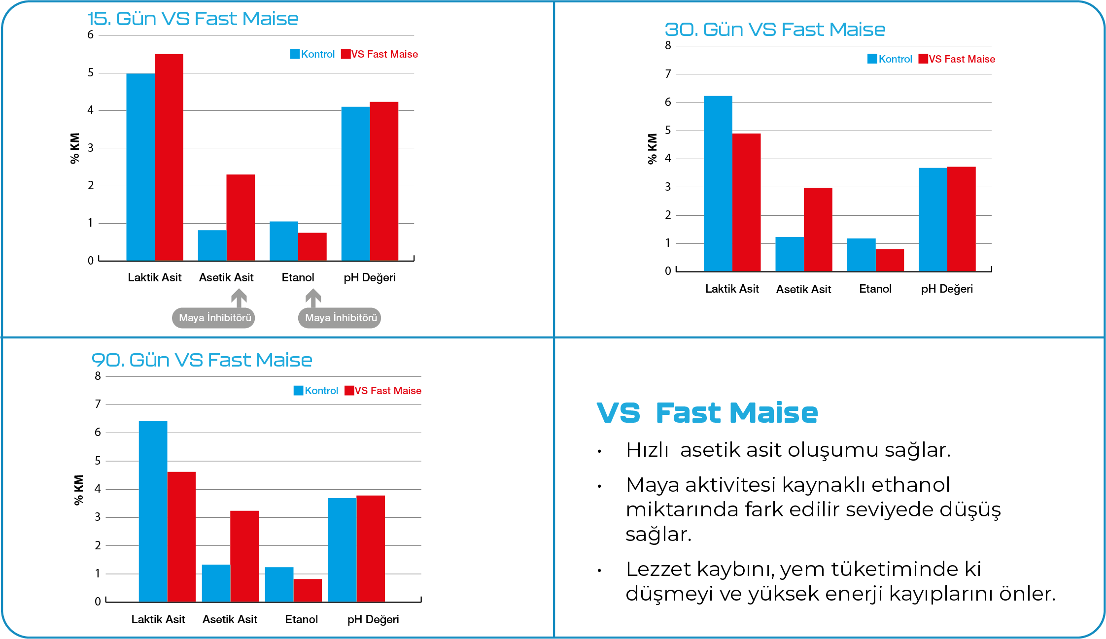 Fast-Maise-Grafik.png (86 KB)