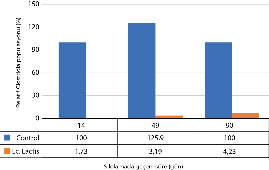 alfa-fresh-grafik.png (21 KB)